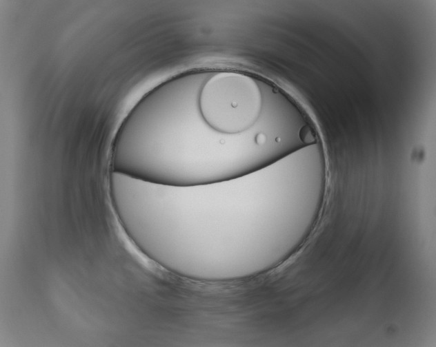 X0000111001437200906191133