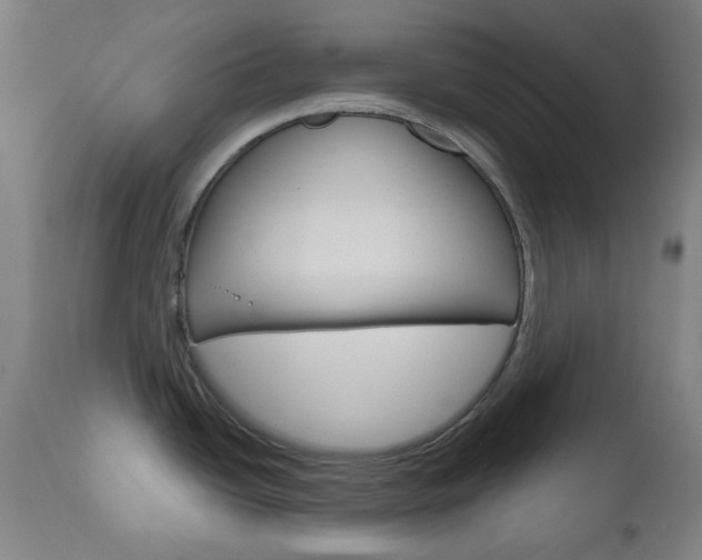 X0000111001438200906191133