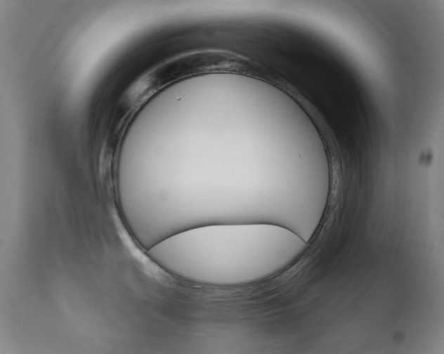 X0000111001439200906191133