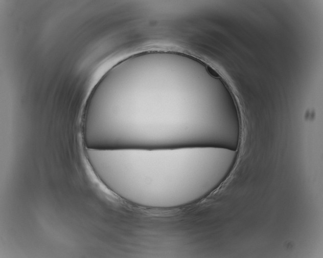 X0000111001440200906191133