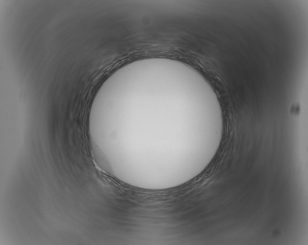 X0000111001441200906191132