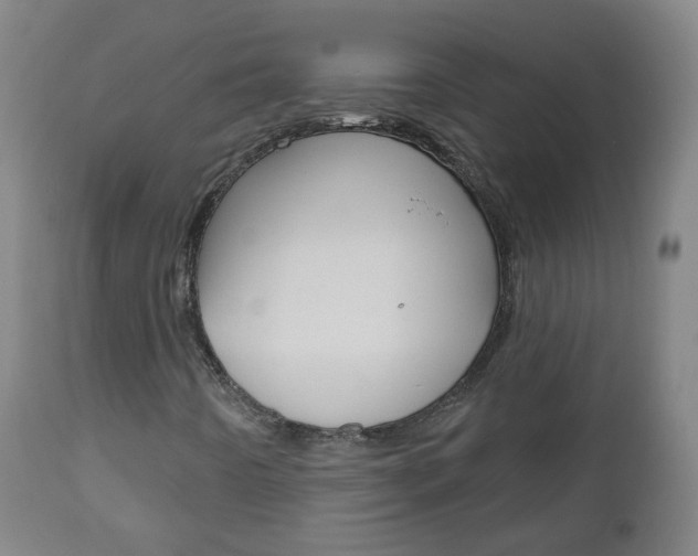 X0000111001442200906191132