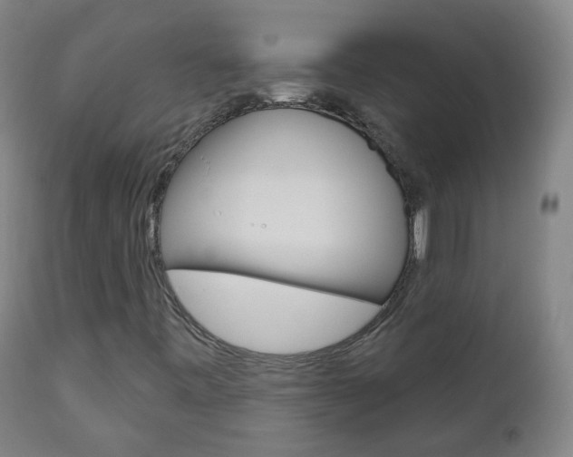 X0000111001443200906191132