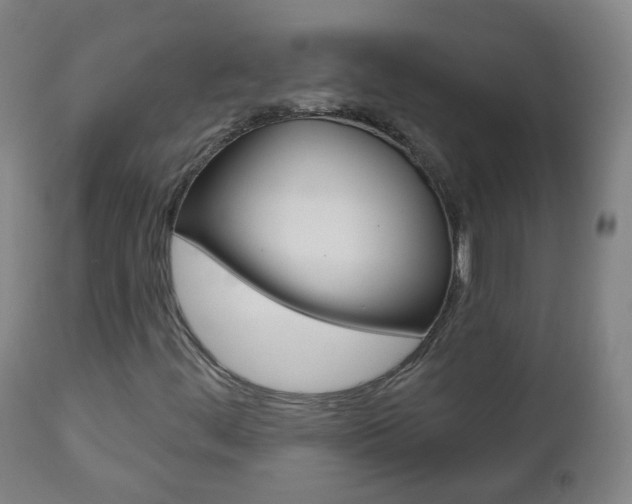 X0000111001444200906191132