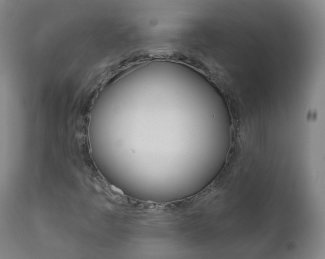 X0000111001445200906191132