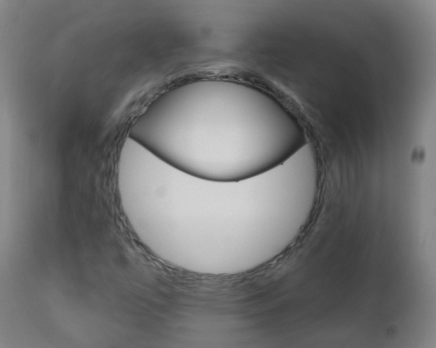 X0000111001447200906191132