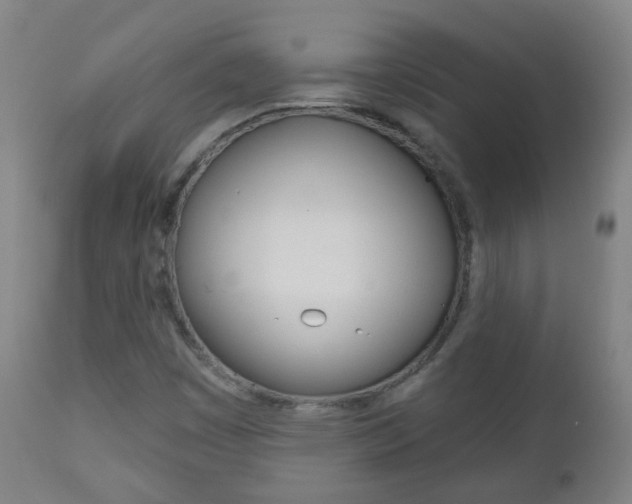 X0000111001449200906191132