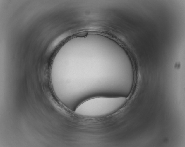 X0000111001450200906191132