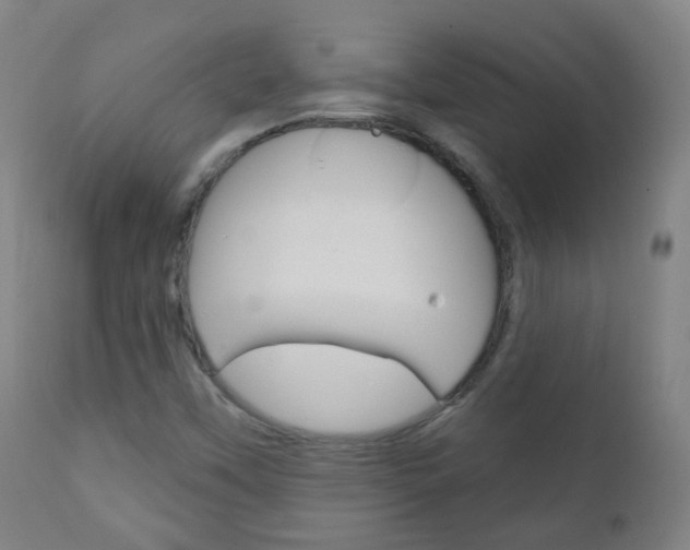 X0000111001451200906191132