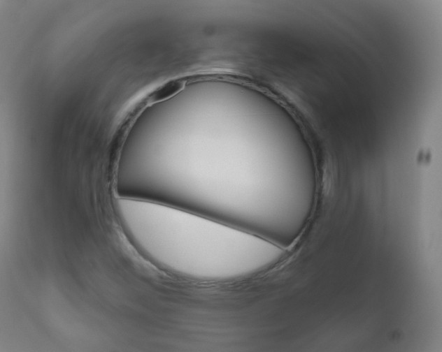 X0000111001452200906191132