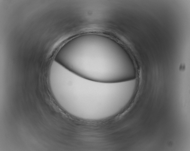 X0000111001453200906191132