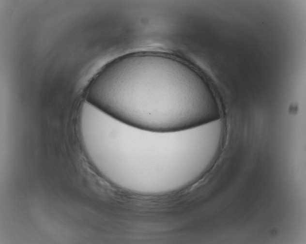 X0000111001455200906191132
