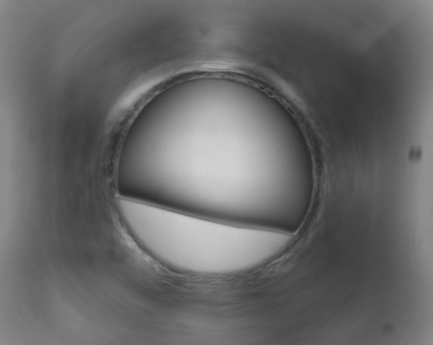 X0000111001456200906191132