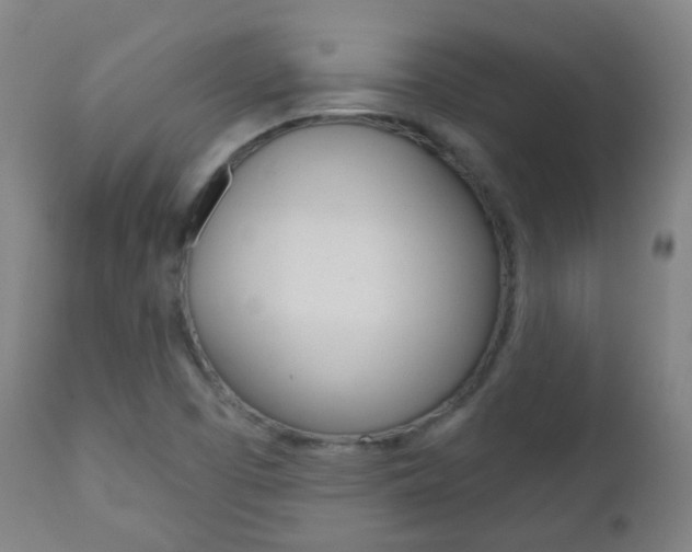 X0000111001457200906191132