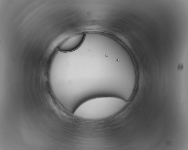 X0000111001458200906191132