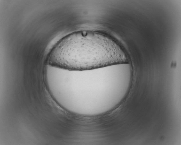X0000111001459200906191132