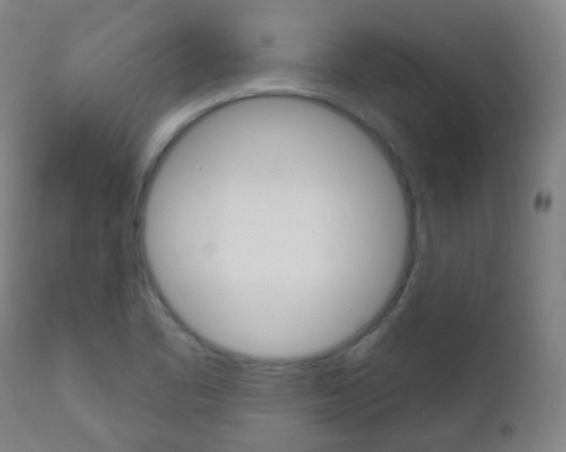 X0000111001461200906191132