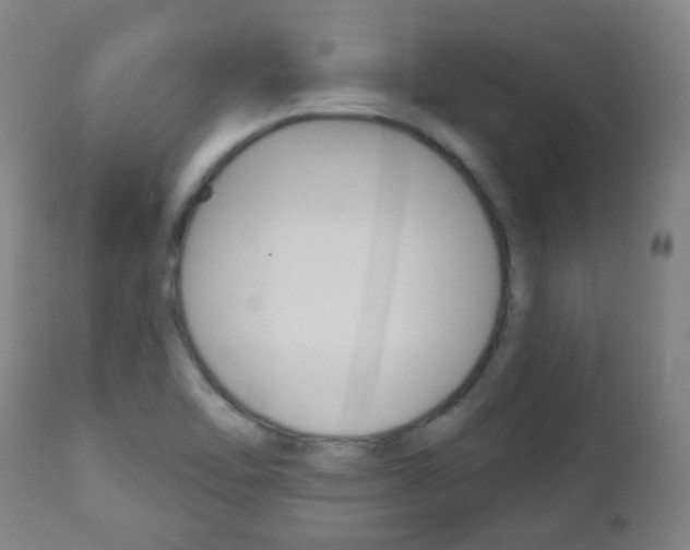 X0000111001462200906191132