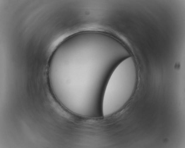 X0000111001463200906191132