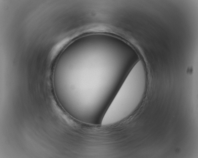 X0000111001464200906191132