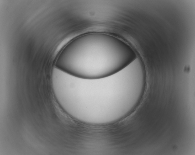 X0000111001465200906191132