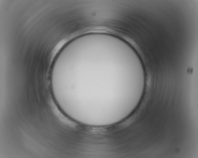 X0000111001466200906191132