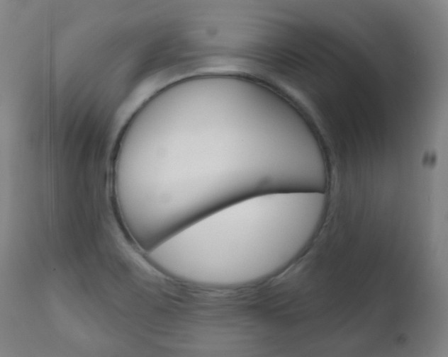 X0000111001467200906191132