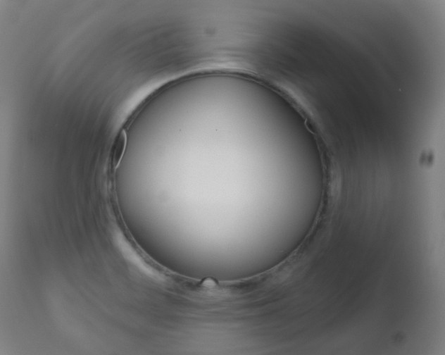 X0000111001468200906191132