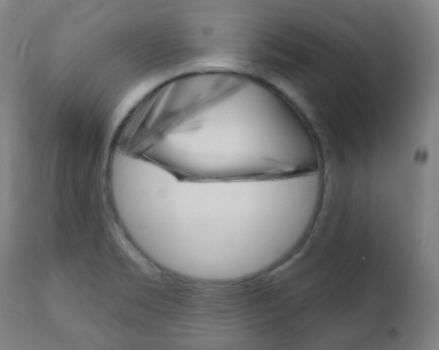 X0000111001469200906191132