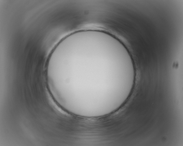 X0000111001470200906191132