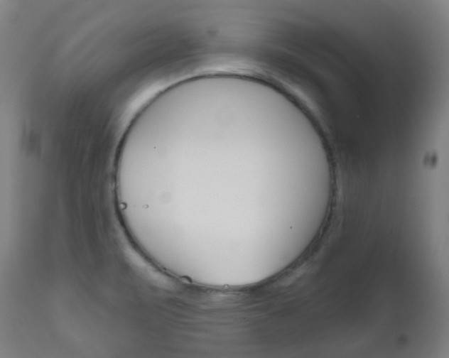 X0000111001471200906191132