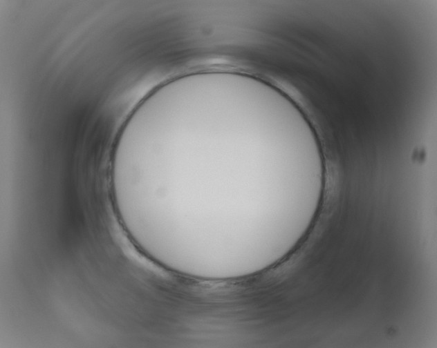 X0000111001474200906191132