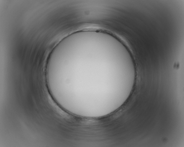 X0000111001475200906191132