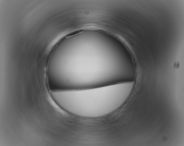 X0000111001476200906191132