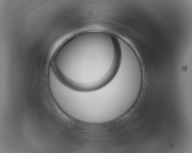 X0000111001477200906191132