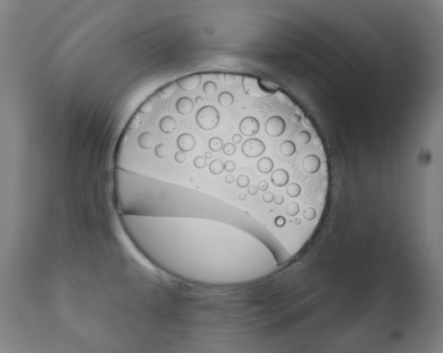 X0000111001479200906191132