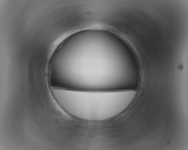 X0000111001480200906191132