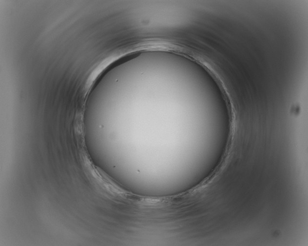 X0000111001481200906191132