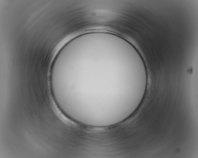 X0000111001482200906191132