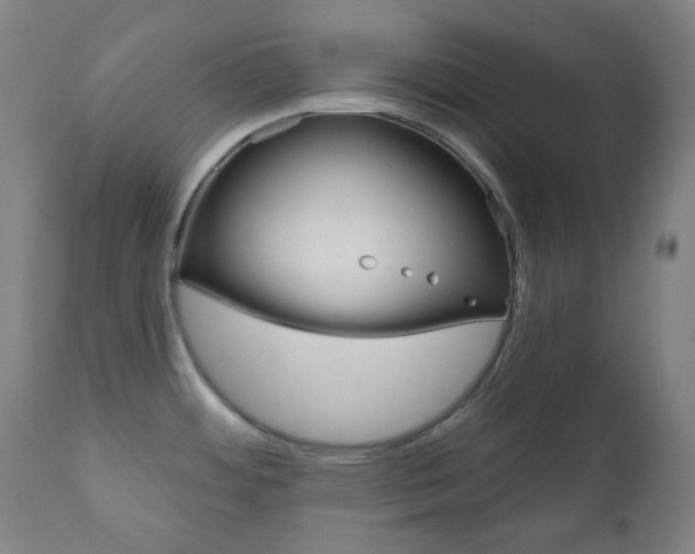 X0000111001484200906191132