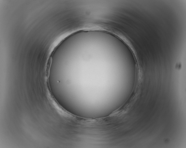 X0000111001485200906191132