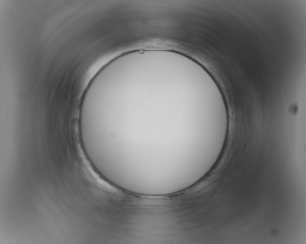 X0000111001486200906191132