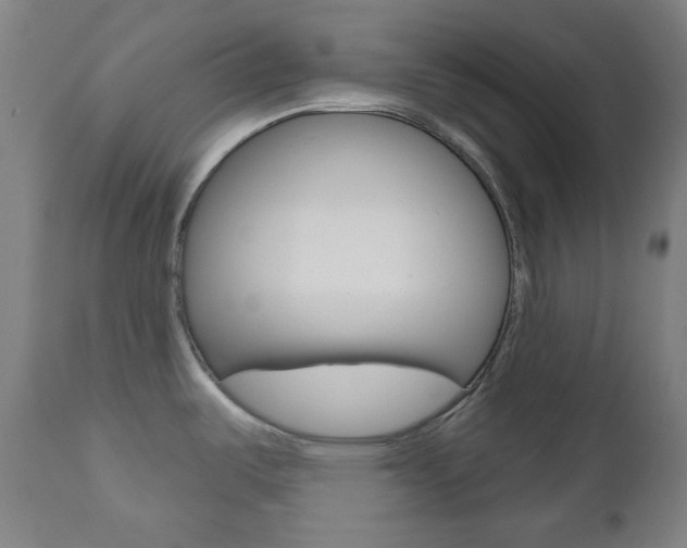 X0000111001487200906191132