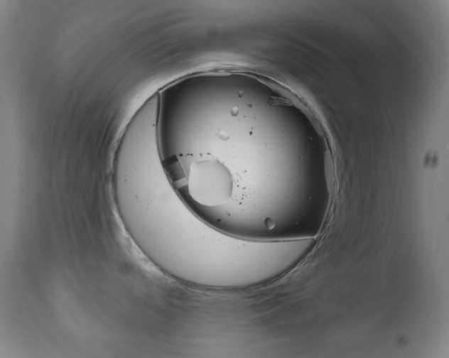X0000111001488200906191132