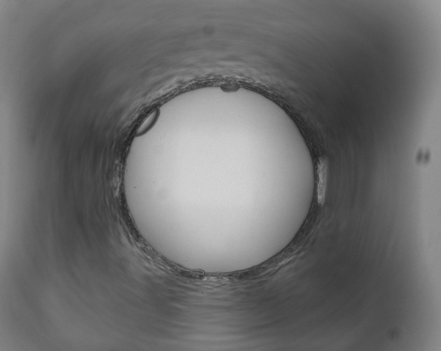 X0000111001491200906191131