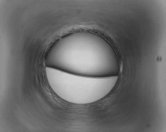 X0000111001492200906191131