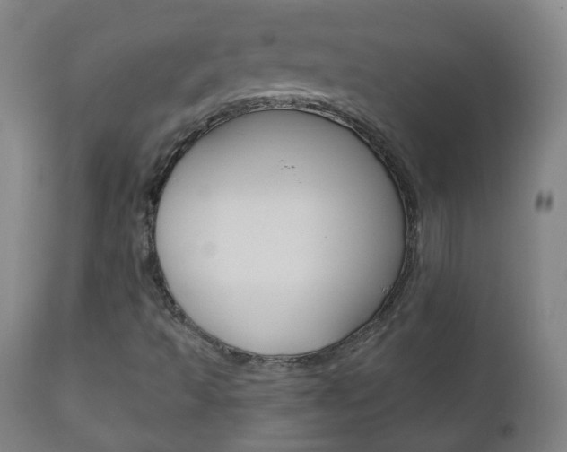 X0000111001493200906191131