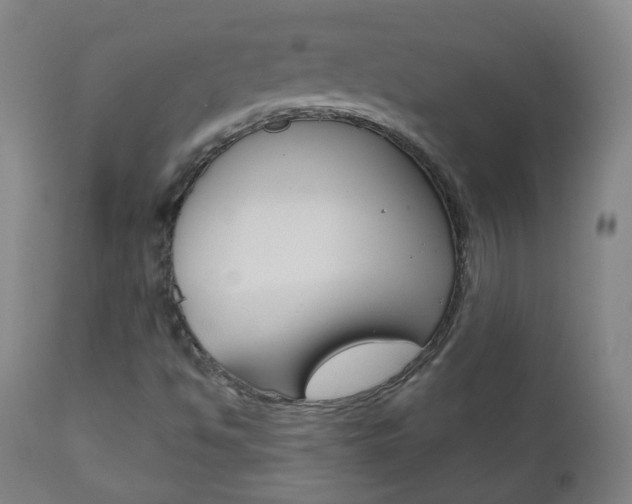 X0000111001494200906191131