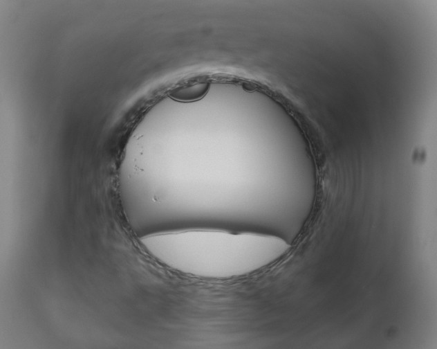 X0000111001495200906191131