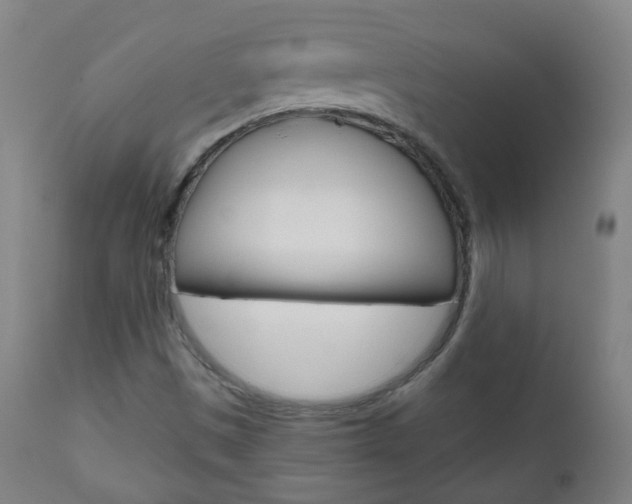 X0000111001497200906191131
